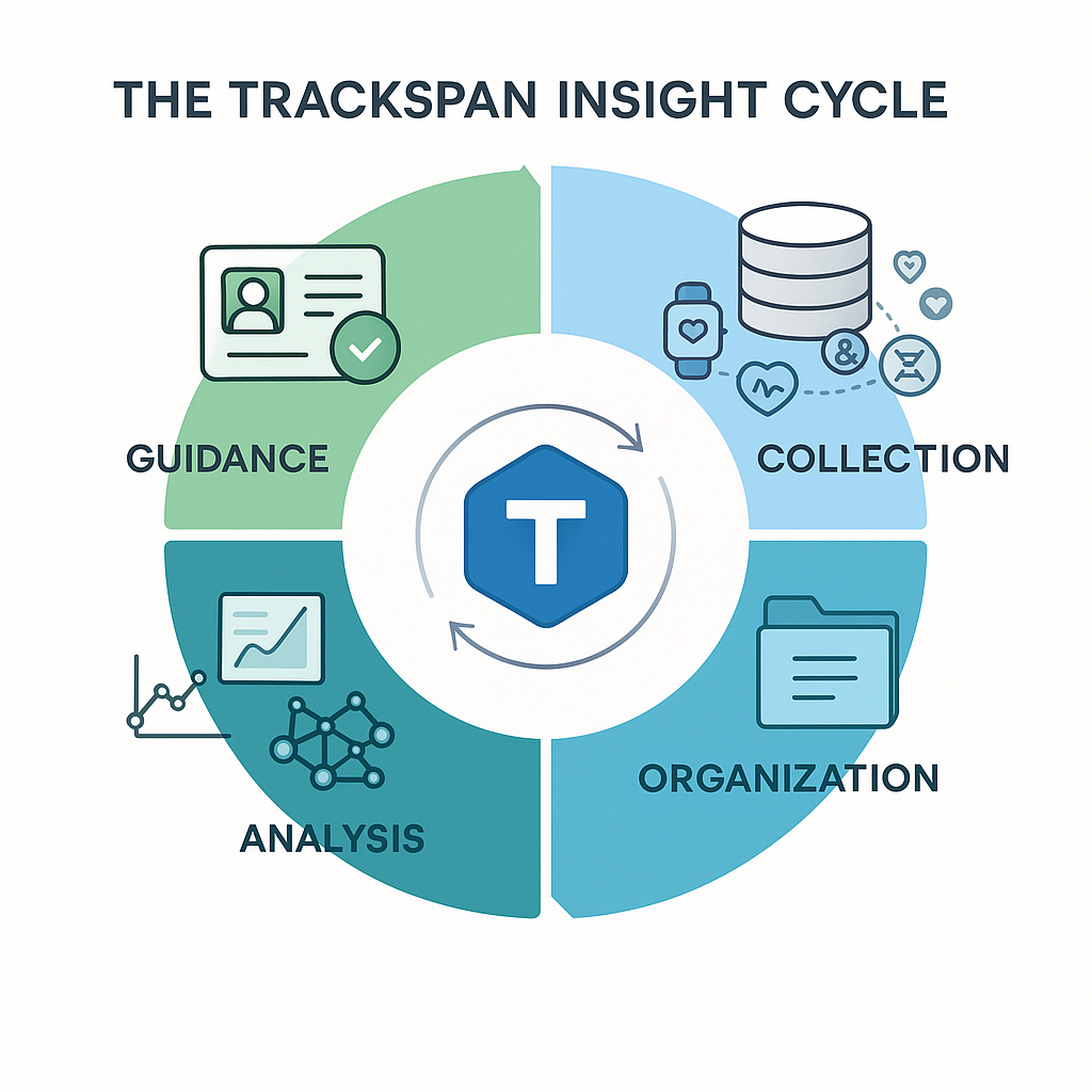 The Trackspan Insight Cycle: Collection, Organization, Analysis, and Guidance